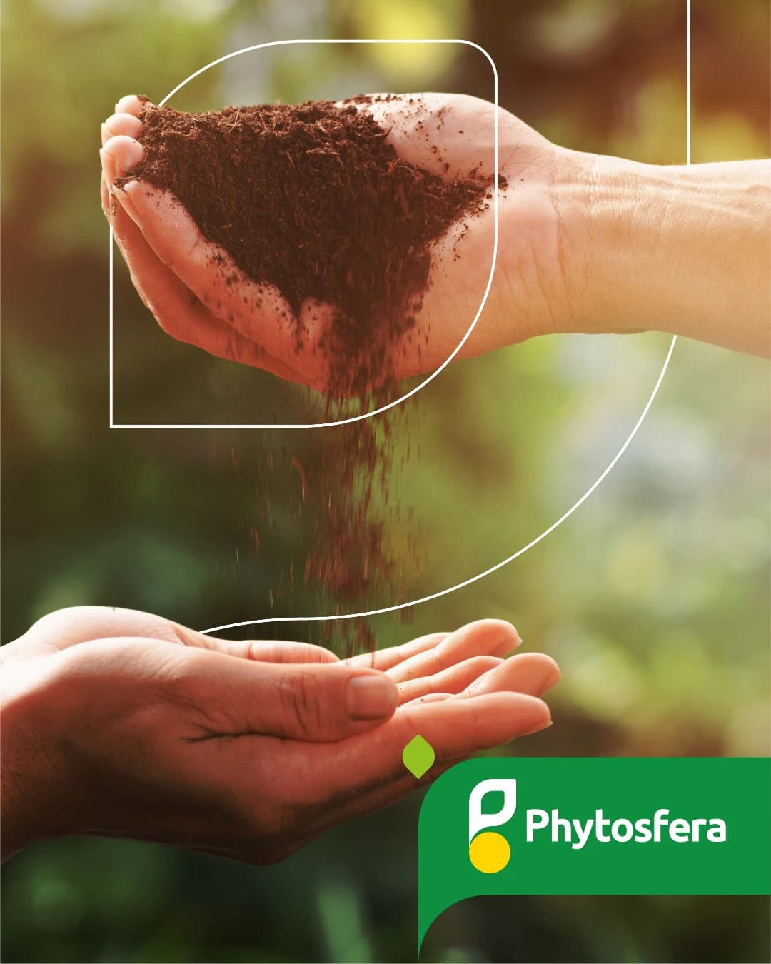 Phytosfera
