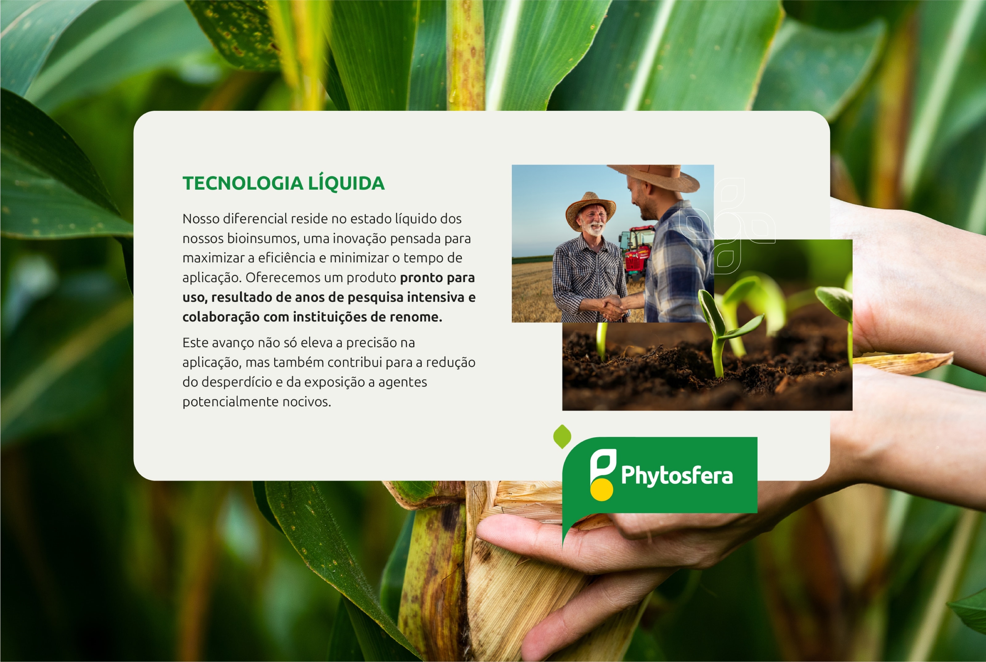 Phytosfera — 10